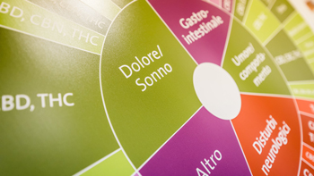 I principi attivi e lo spettro di azione