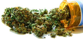 Hanfblüten - Medizinsches Cannabis