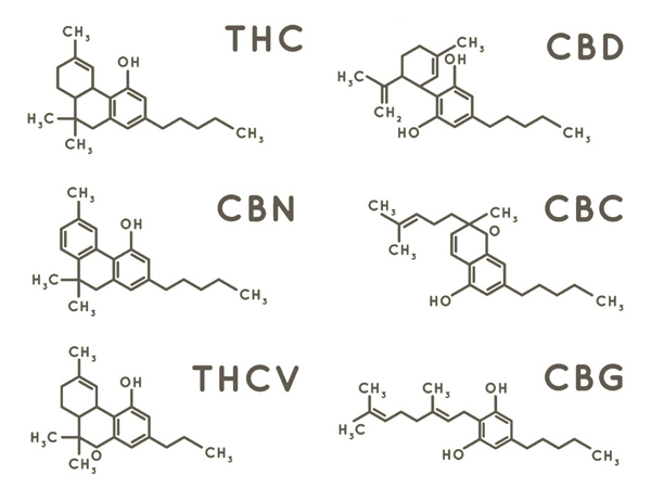 Chemische Formel Cannabinoide