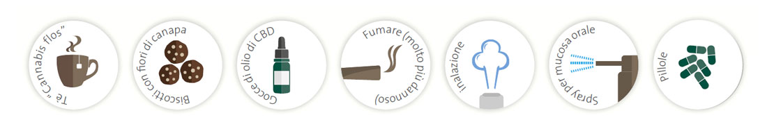 Modi di Somministrazione della cannabis medicinale