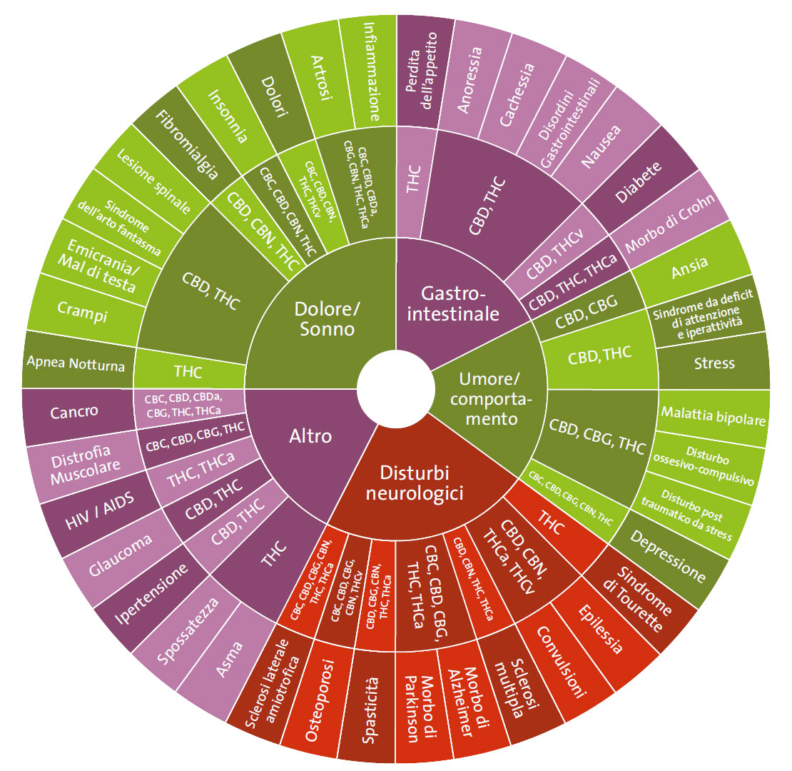 Lo spettro di azione della cannabis medicinale
